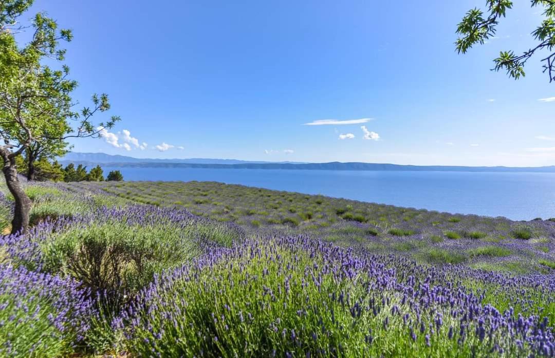 Sea View Ela Apartments Подгора Екстер'єр фото