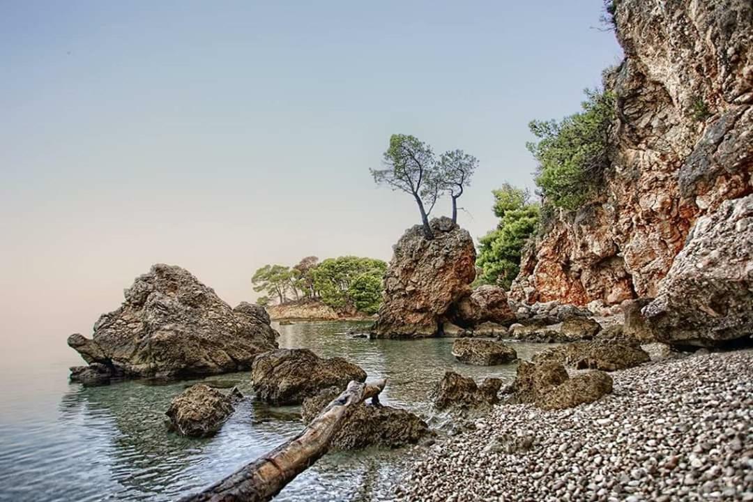Sea View Ela Apartments Подгора Екстер'єр фото