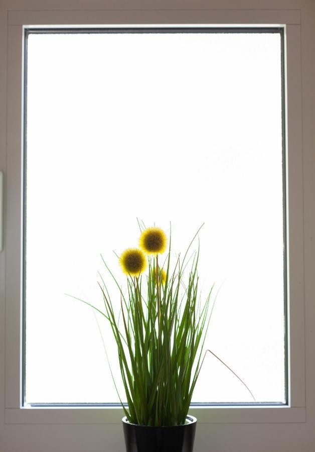 Sea View Ela Apartments Подгора Екстер'єр фото